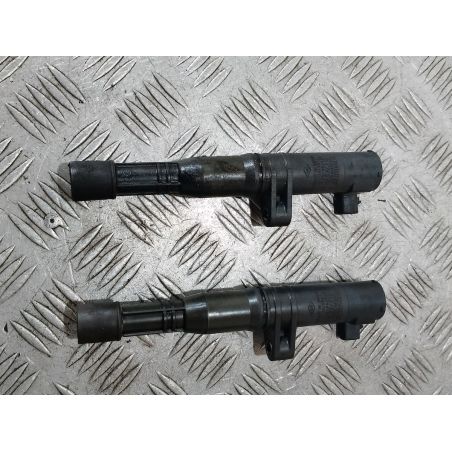 CEWKA ZAPŁONOWA RENAULT VEL SATIS 2.0 TB 2002 0297008291 