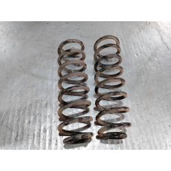 SPRĘŻYNY TYŁ RENAULT SCENIC II ( 03-09 ) 2.0 16V2004                                            