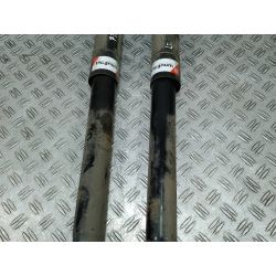 AMORTYZATORY TYŁ KOMPLET RENAULT CLIO III ( 05-13 ) 1.6 16V2005                                            