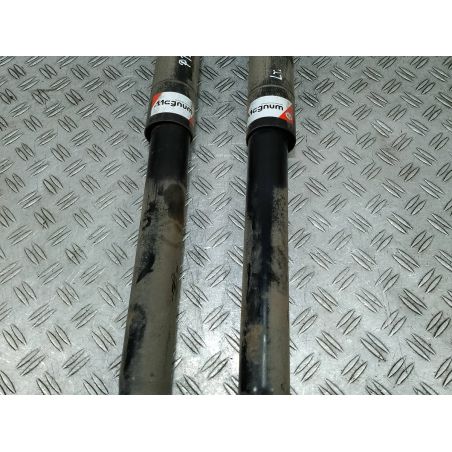 AMORTYZATORY TYŁ KOMPLET RENAULT CLIO III ( 05-13 ) 1.6 16V 2005 