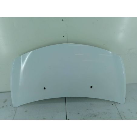 MASKA RENAULT CLIO III FL (09-13) 1.5 DCI 2010 