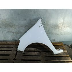 BŁOTNIK LEWY PRZÓD RENAULT CLIO III FL (09-13) 1.5 DCI20108200256117                                            